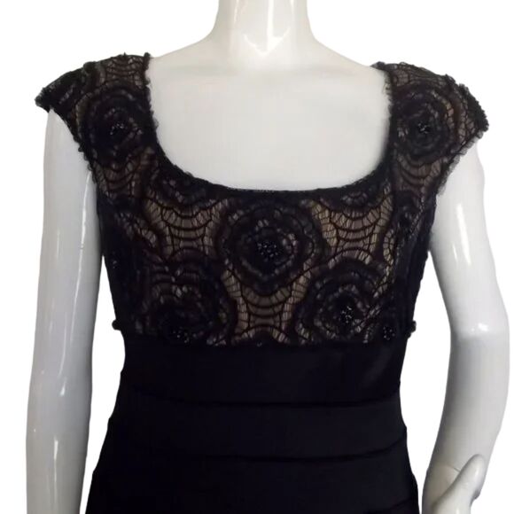 TADASHI Dress, 12, Blue/Tan lace, Bandage Skirt, Scoop neck, Cap sleeves - Picture 9 of 14